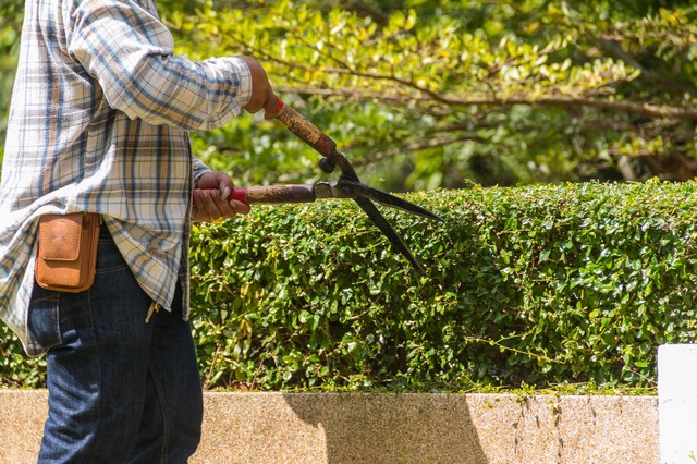 Garden Maintenance Clerkenwell, Finsbury, Barbican, EC1